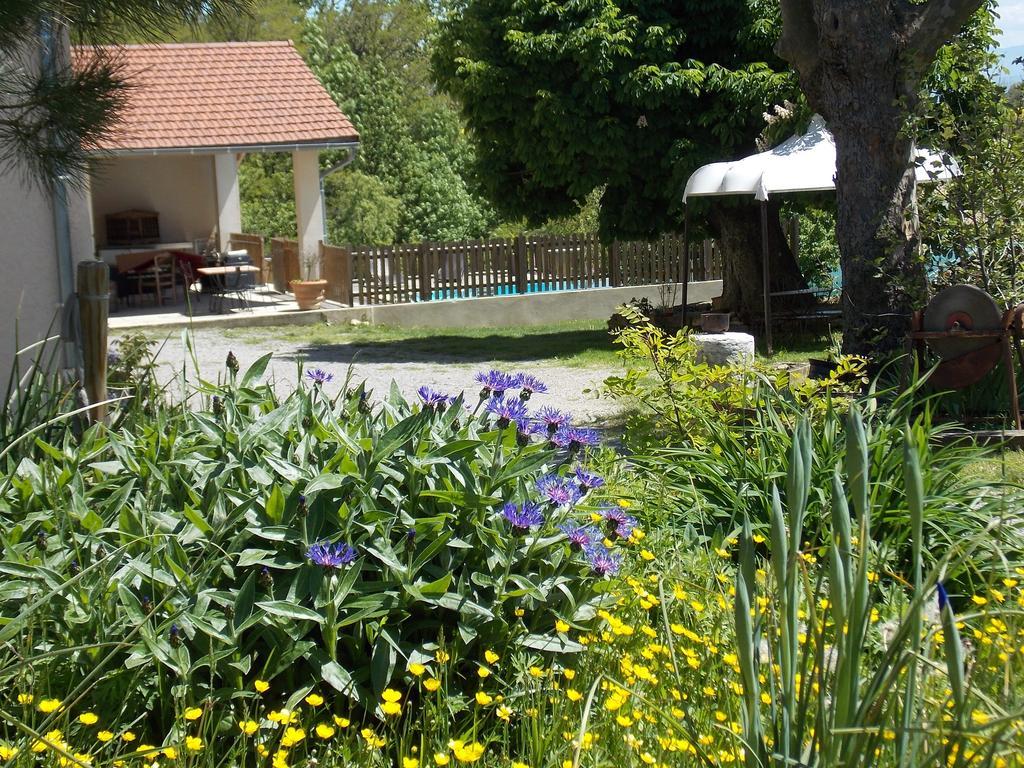 A La Mare Du Vieux Chene Bed and Breakfast Bellegarde-Poussieu Εξωτερικό φωτογραφία